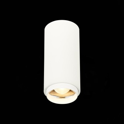 ST600.532.10 Светильник потолочный Zoom Белый LED 1*10W 3000K 1 000Lm Ra&gt;80 15-60° IP20 D59xH130 170
