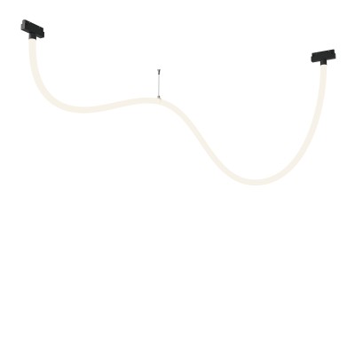 Трековый подвесной светильник Maytoni TR101-2-50W4K-B