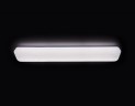 Накладной светильник Ambrella Light F318 WH 48W S600