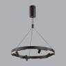 Подвесная люстра Odeon Light 6683/77L