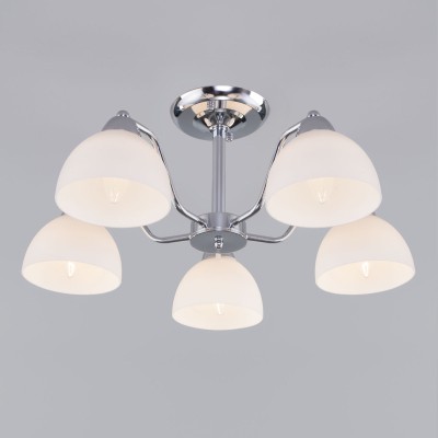 Люстра на штанге Eurosvet 30172/5 хром