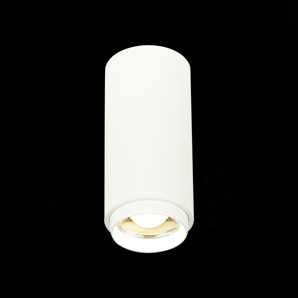 ST600.542.10 Светильник потолочный Zoom Белый LED 1*10W 4000K 1 000Lm Ra>80 15-60° IP20 D59xH130 170
