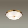 Настенно-потолочный светильник Odeon Light 4956/4 (Уцененный товар)