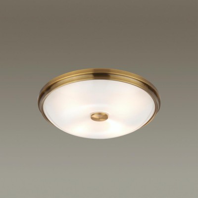 Настенно-потолочный светильник Odeon Light 4956/4 (Уцененный товар)