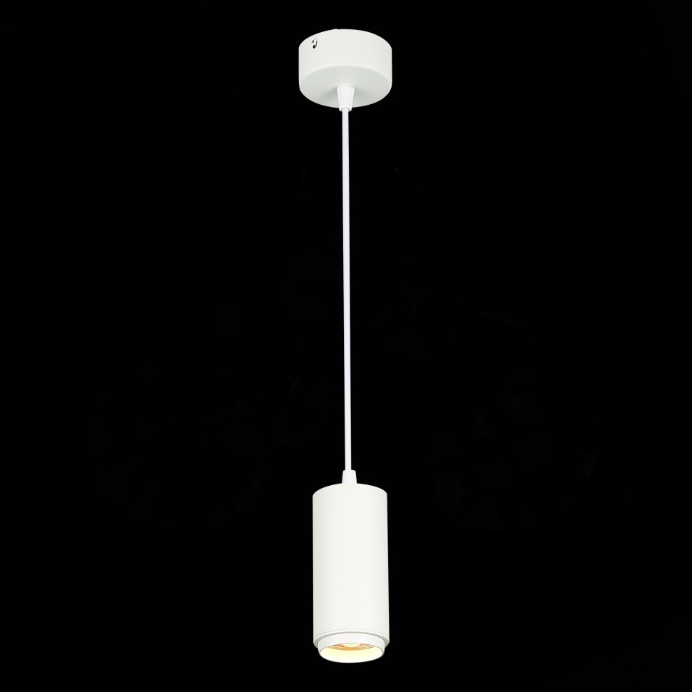 ST600.533.10 Светильник подвесной Zoom Белый LED 1*10W 3000K 1 000Lm Ra>80 15-60° IP20 D59xH130 170-