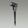 Грунтовый светильник Odeon Light 6647/10GL