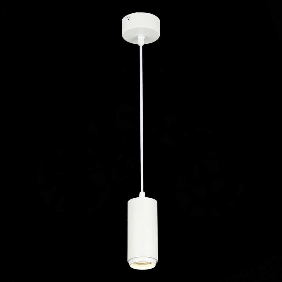 ST600.543.10 Светильник подвесной Zoom Белый LED 1*10W 4000K 1 000Lm Ra>80 15-60° IP20 D59xH130 170-