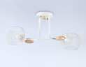 Накладной светильник Ambrella Light TR80161