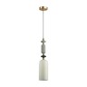 Подвесной светильник Odeon Light 4861/1D