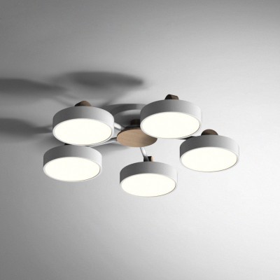 Накладная люстра ImperiumLoft 178249-26