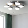 Накладная люстра ImperiumLoft 178249-26