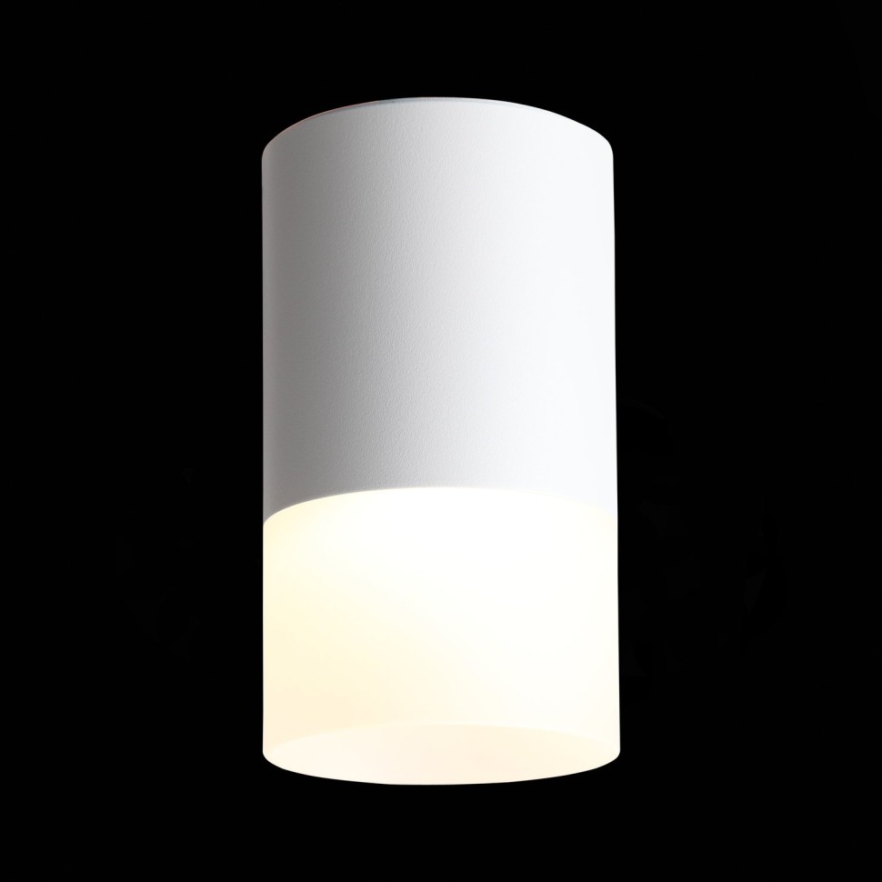 ST100.502.05 Светильник потолочный Белый LED 1*5W 3000K 390Lm Ra>80 120° D64xH110 170-240V