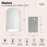 Потолочный светильник Technical C012CL-01W