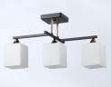 Накладной светильник Ambrella Light TR303114