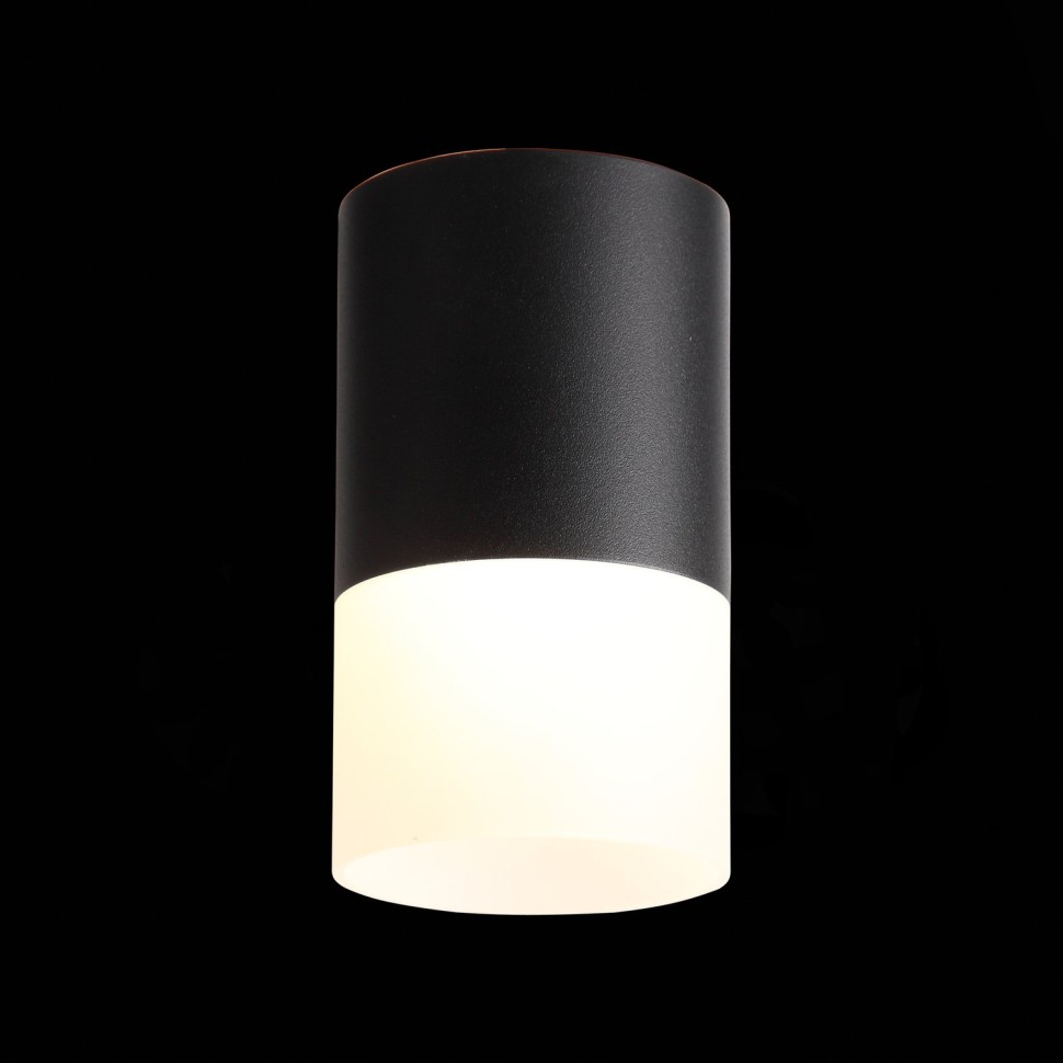 ST100.402.10 Светильник потолочный Черный LED 1*10W 3000K 780Lm Ra>80 120° D78xH135 170-240VV