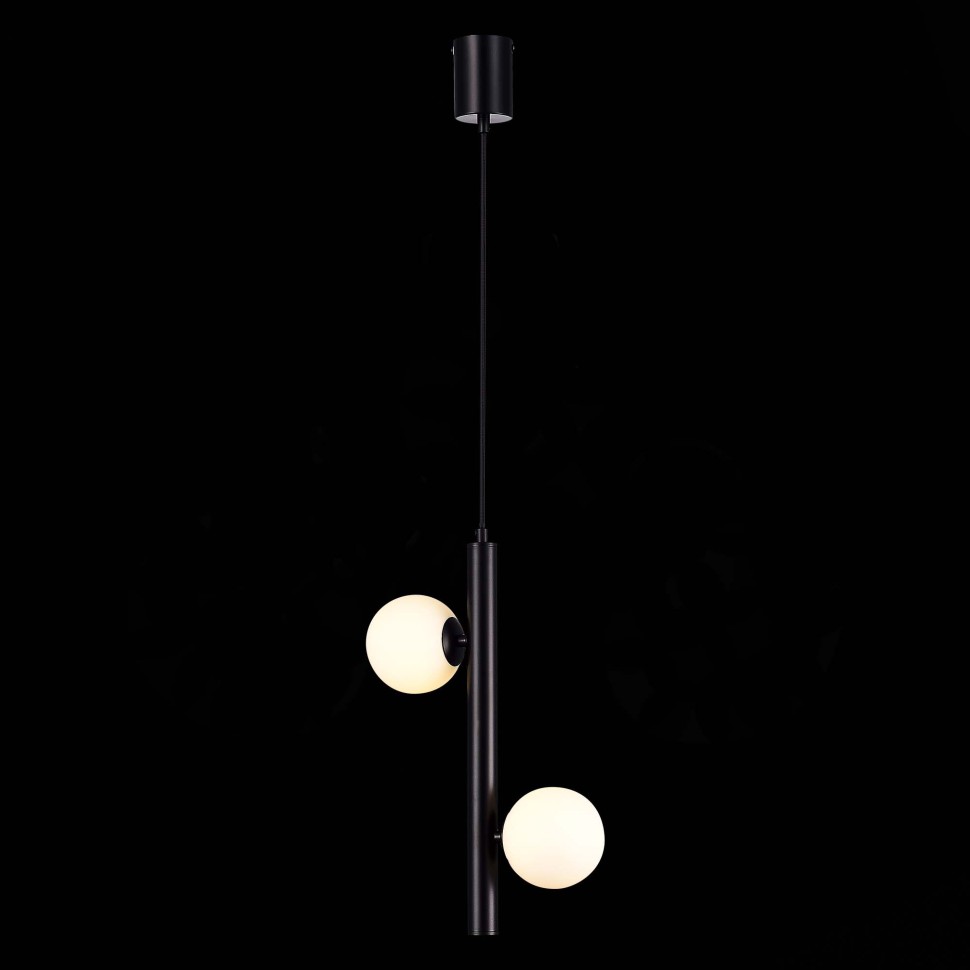 SL1185.403.02 Подвес ST-Luce Черный/Белый G9 LED 2*5W