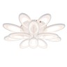Светильники Потолочные Escada 10242/12 LED*155W White