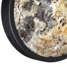 Бра Odeon Light 5064/15WL