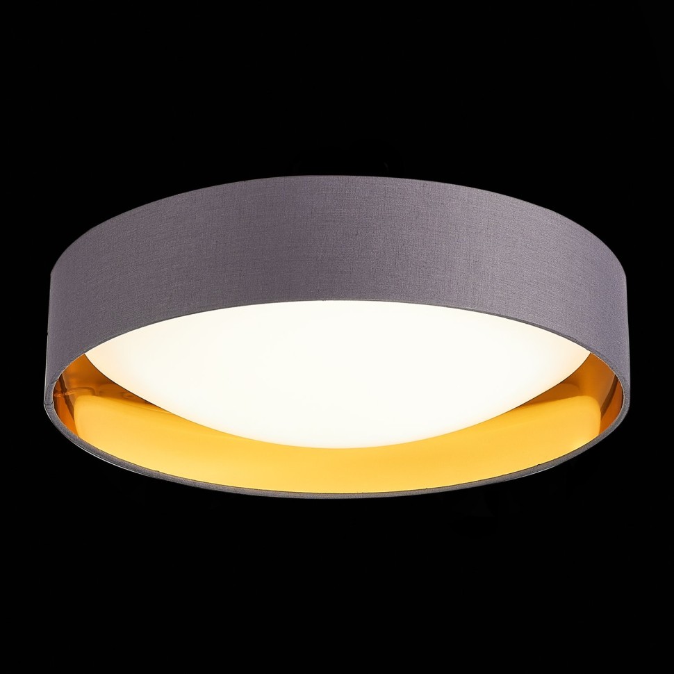 SLE201112-01 Светильник потолочный Серый, Золотистый/Белый LED 1*24W 4000K