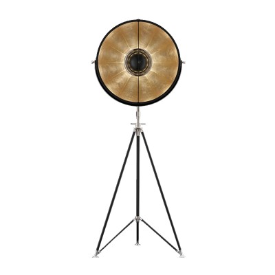 Торшер Delight Collection 7095F black/gold