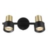 Спот Citilux CL505621