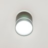 Накладной светильник Citilux CL745011N