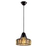 Подвесной светильник Citilux CL450211