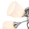Люстры На штанге Escada 664/5P E27*40W Chrome