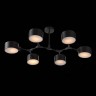 SLE183402-06 Светильник потолочный Черный/Черный E14 6*60W