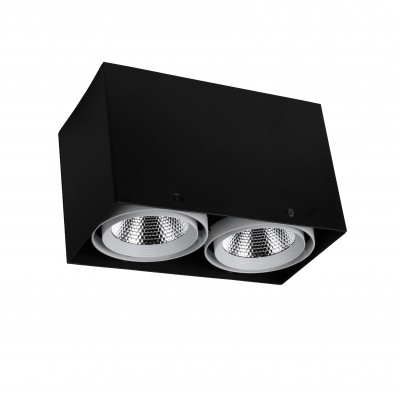 Потолочный светильник Favourite 1987-2U