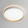 Накладной светильник Citilux CL750240