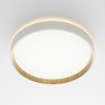 Накладной светильник Citilux CL750240