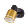 Спот Citilux CL565514