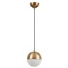 Подвесной светильник Odeon Light 4960/1