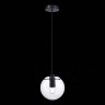 SL1056.403.01 Подвес ST-Luce Черный/Прозрачный E27 1*60W