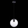 SL1056.413.01 Подвес ST-Luce Черный/Прозрачный E27 1*60W